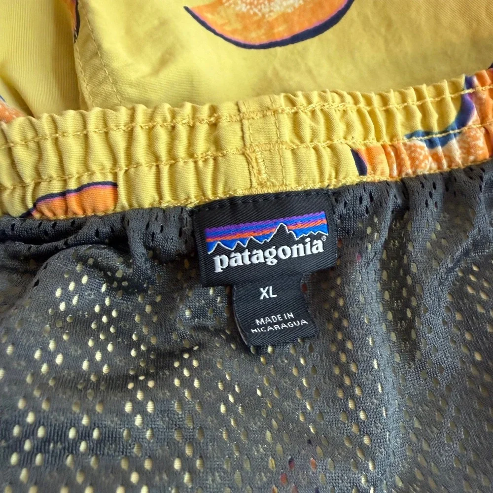 Patagonia baggies shorts